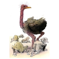 Rainer Ehrt-Bird ostrich