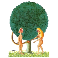 Harca - Adam and Eve