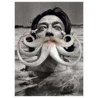 Willem Rasing - Salvador Dali