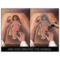 Willem Rasing - And God created woman - similarity or not