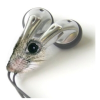 Willem Rasing - Mouse earphones