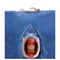 Willem Rasing - Jaws