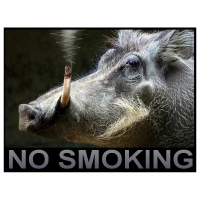 Willem Rasing - No smoking