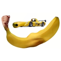 Willem Rasing - Banana couple