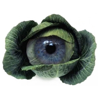 Willem Rasing - Cabbage eye