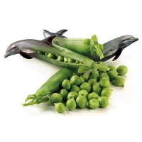 Willem Rasing - Green peas 