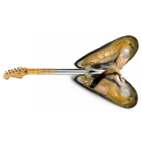 xh-food-guitarmossel