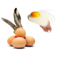 Willem Rasing - Easter eggs and omelette foot