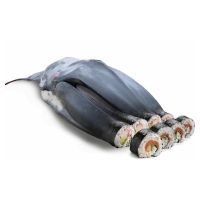 Willem Rasing - Sushi