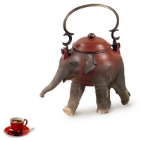 Willem Rasing - The elephant tea
