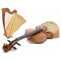 Willem Rasing - Violin cheese harp