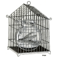 rousso-flying-fish-cage