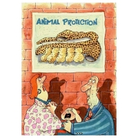 Stabor-Animal protection