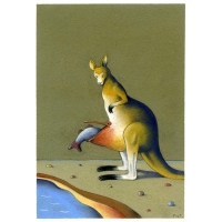 Constantin Sunnerberg - Kangaroo