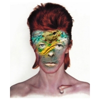 Willem Rasing - David Bowie