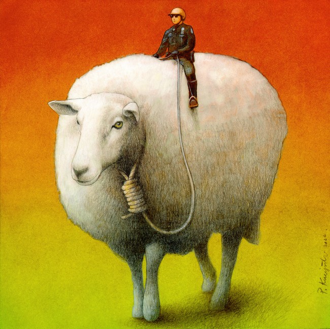 Kuczynski-Sheep control