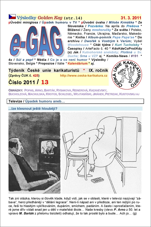 e-GAG 2011-13
